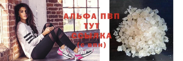 спиды Аркадак