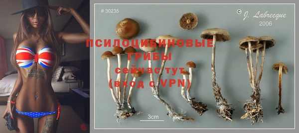 прущая мука Арсеньев