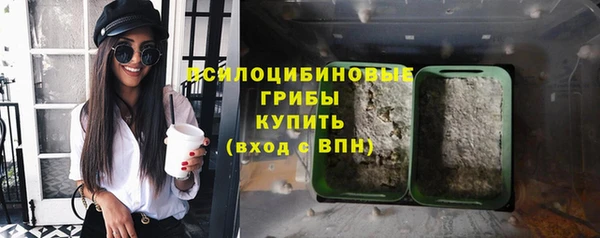 гидра Лабытнанги