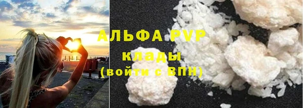 спиды Аркадак